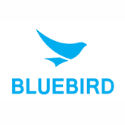 Bluebird